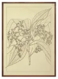 obraz-z-roslinami-53x73cm