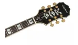 epiphone-sheraton-ii-pro-eb-gitara-elektryczna-rodzaj-inny
