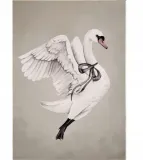 plakat-flying-swan-2-a4