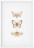 plakat-meadow-motyle-a3
