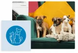 pralka-beko-wuv8612xaws-wysokosc-produktu-84-cm