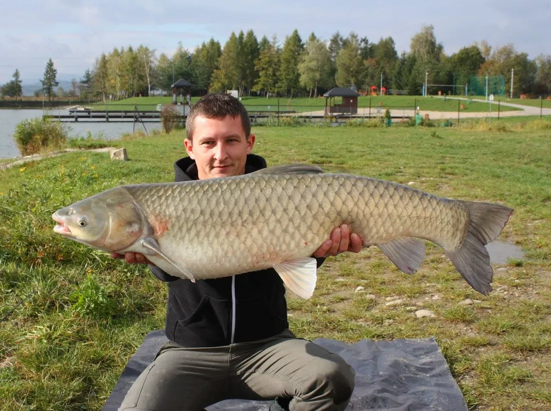 method-mix-premium-rk-baits-1kg