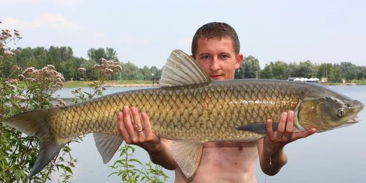 method-mix-premium-rk-baits-1kg