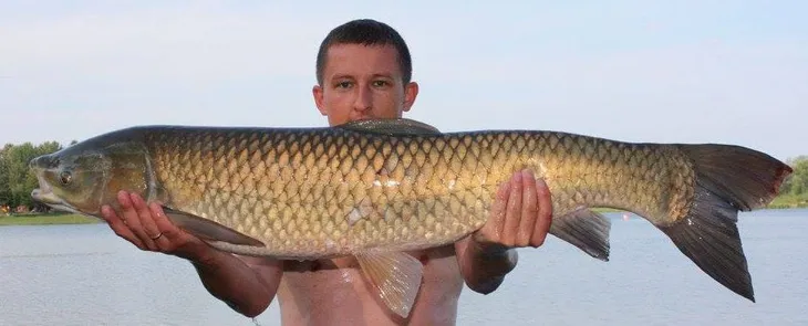 method-mix-premium-rk-baits-1kg