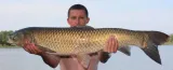method-mix-premium-rk-baits-1kg