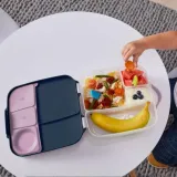 lunchbox-emerald-forest-b-box