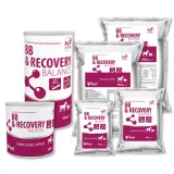bb-and-recovery-balance
