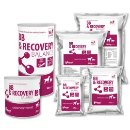 bb-and-recovery-balance