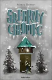 srebrny-chlopiec