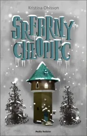 srebrny-chlopiec