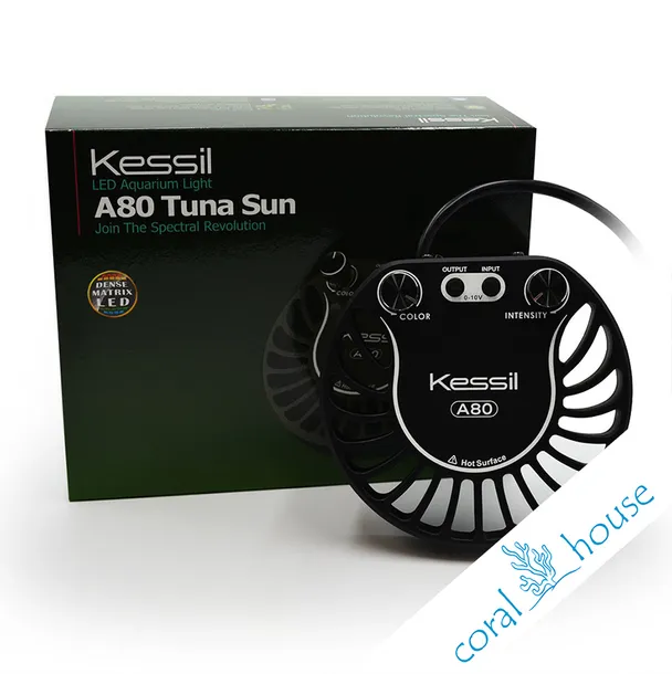 kessil-a80-tuna-sun