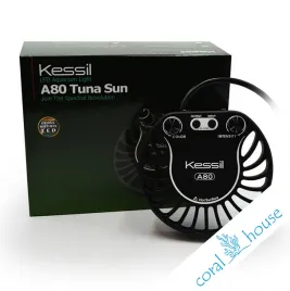 kessil-a80-tuna-sun