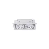 downlight-es111