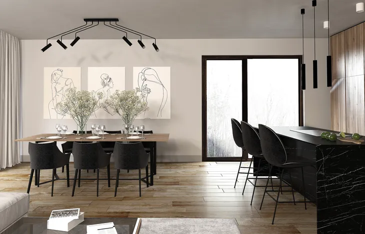 cameleon-eye-l