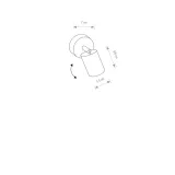 eye-spot