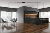 cameleon-mounting-a