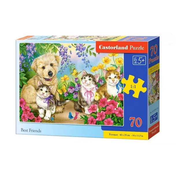 puzzle-70-best-friends