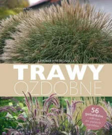 trawy-ozdobne
