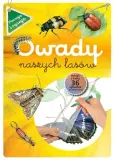 owady-naszych-lasow