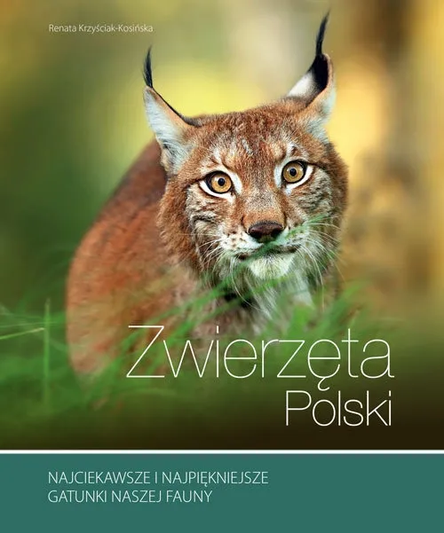 zwierzeta-polski