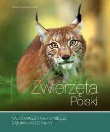 zwierzeta-polski