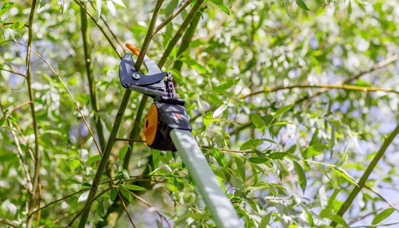 fiskars-sekator-zyrafa-teleskop-upx86-1023624