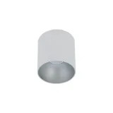 point-tone-white-silver