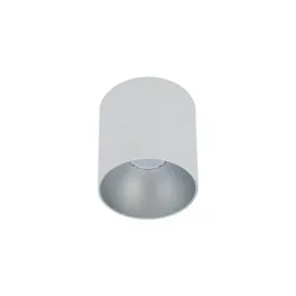 point-tone-white-silver