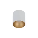 point-tone-white-gold