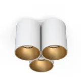 eye-tone-white-gold-iii