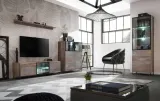 plank-witryna-dab-canion-loft-led-asm-kolor-mebla-wielokolorowy-inny-kolor