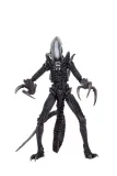 figurka-alien-vs-predator-razor-claws-alien