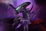 figurka-alien-vs-predator-razor-claws-alien-stan-nowy