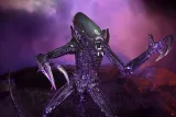 figurka-alien-vs-predator-razor-claws-alien-stan-nowy