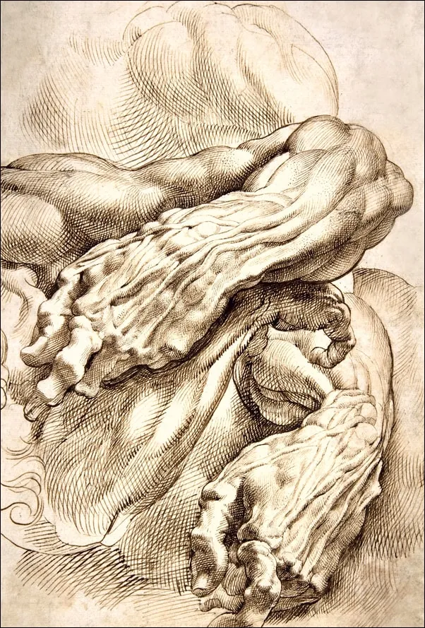 anatomical-studies-a-left-forearm-in-two-positions
