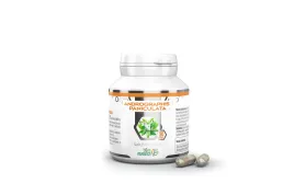 bandm-andrographis-paniculata-90-kaps