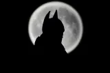 batman-moon-plakat-80x60-cm