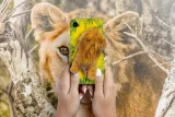 etui-pluszowy-lew-do-iphone-13-pro-6-1-stan-nowy