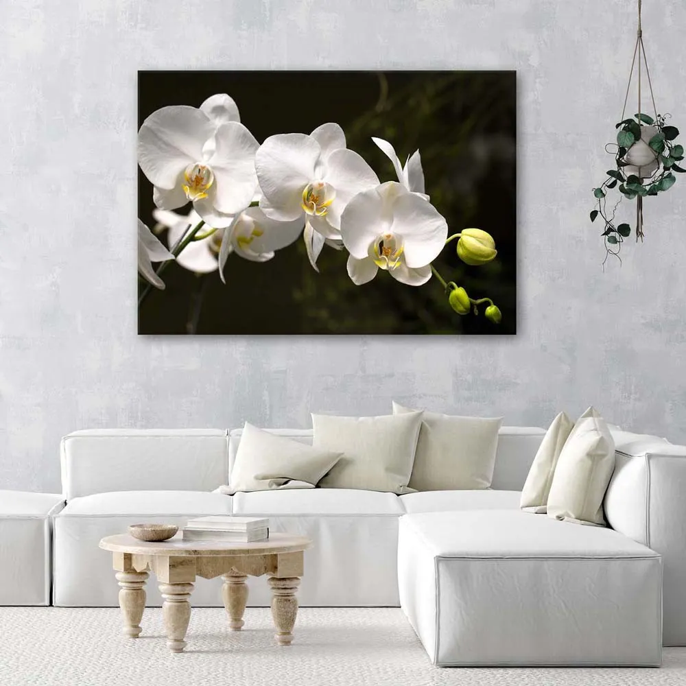 obraz-na-plotnie-kwiat-storczyk-bialy-90x60