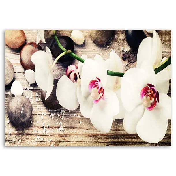 obraz-na-plotnie-zen-orchidea-biala-90x60-sposob-wykonania-druk-cyfrowy