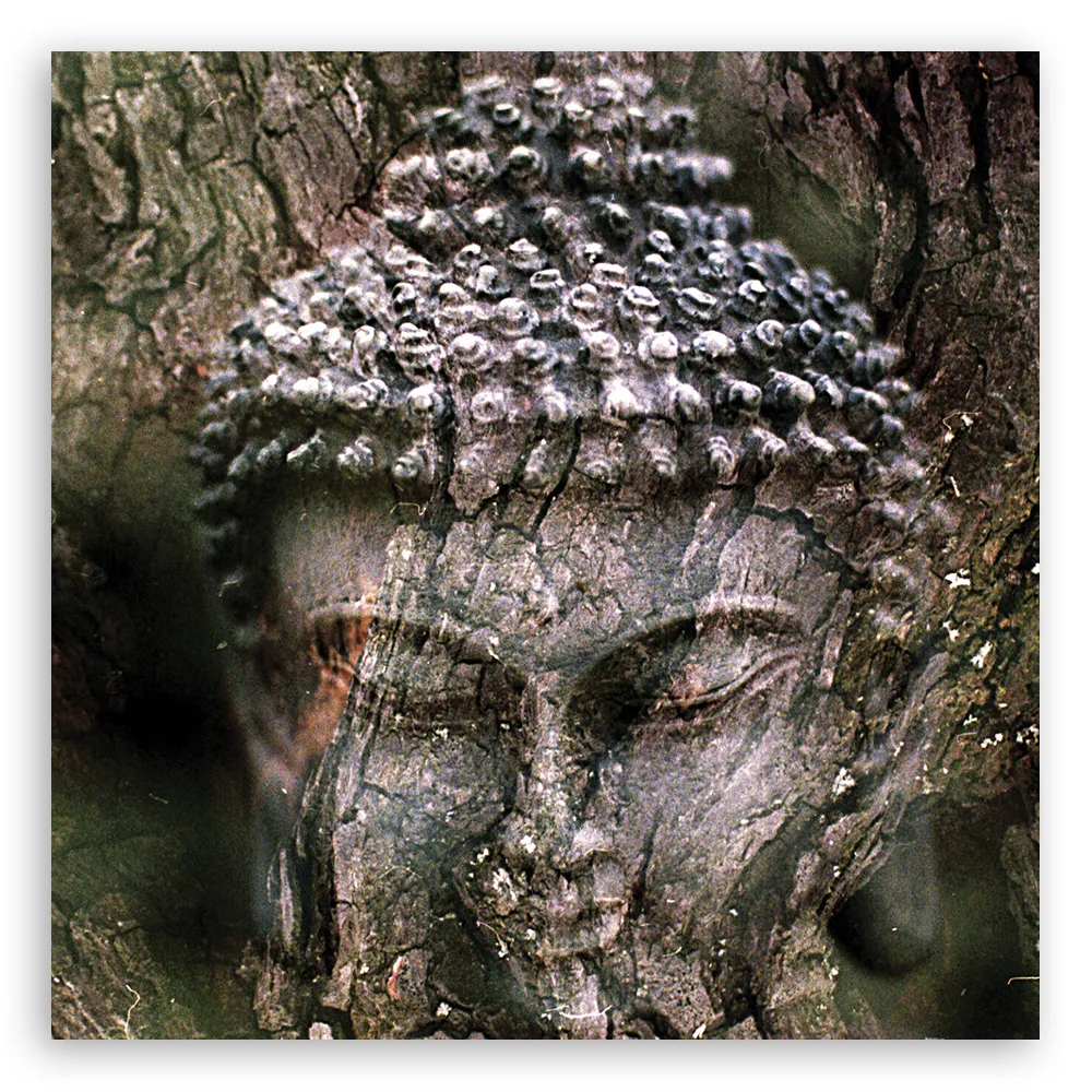obraz-na-plotnie-budda-medytacja-zen-80x80