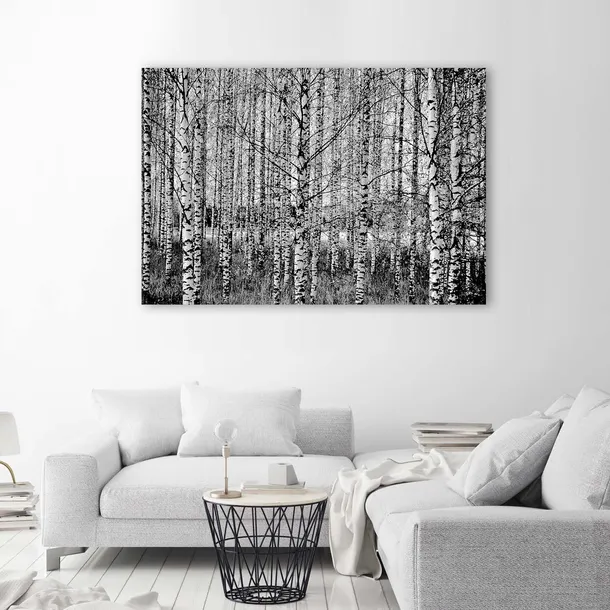 obraz-na-plotnie-las-brzozowy-90x60-stan-nowy