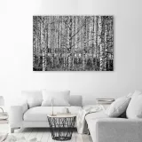 obraz-na-plotnie-las-brzozowy-90x60-stan-nowy