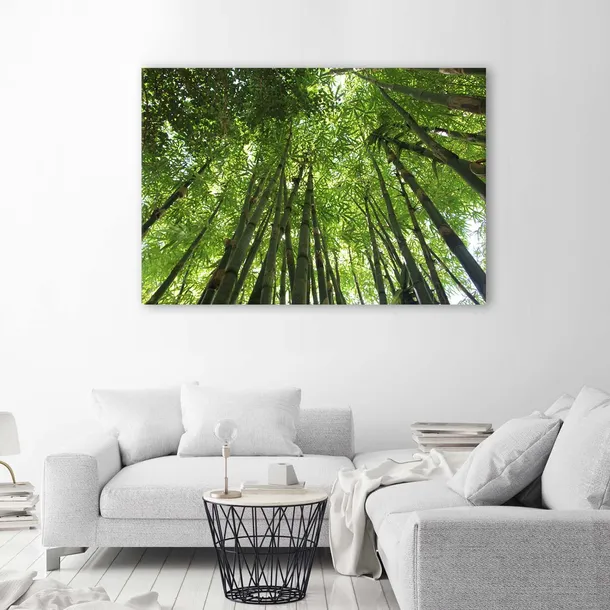 obraz-na-plotnie-las-bambusowy-100x70-stan-nowy