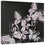 obraz-na-plotnie-motyl-owad-60x60
