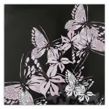 obraz-na-plotnie-motyl-owad-60x60-sposob-wykonania-druk-cyfrowy
