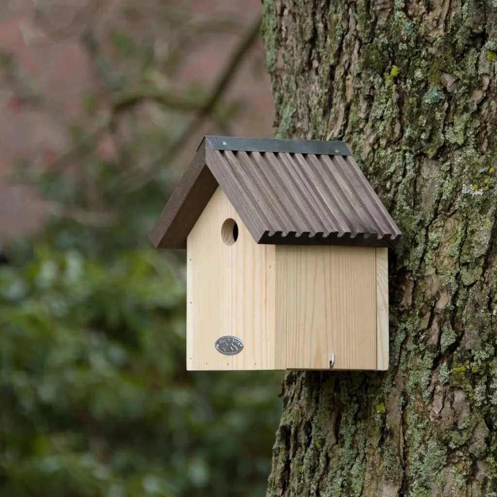 domek-dla-ptakow-blue-tit