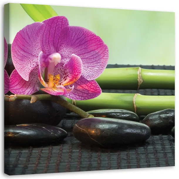 obraz-na-plotnie-zen-orchidea-40x40