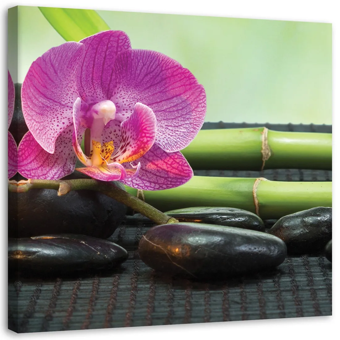 obraz-na-plotnie-zen-orchidea-40x40-stan-nowy