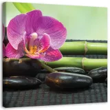 obraz-na-plotnie-zen-orchidea-60x60